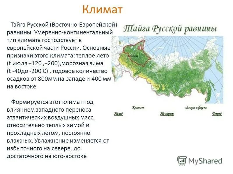 Тайга краткий рассказ. Природные зоны России Тайга на карте России. Северная и средняя Тайга географическое положение в России. Климатические зона Тайга Россия на карте. Расположение тайги на территории России.