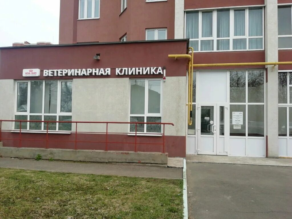 ветеринарная клиника кохомское шоссе. анита иваново ветеринарная клиника куконковых 154. ветклиники иваново адреса. ветеринарная клиника иваново панина 26а. московская 16б иваново ветеринарная клиника.