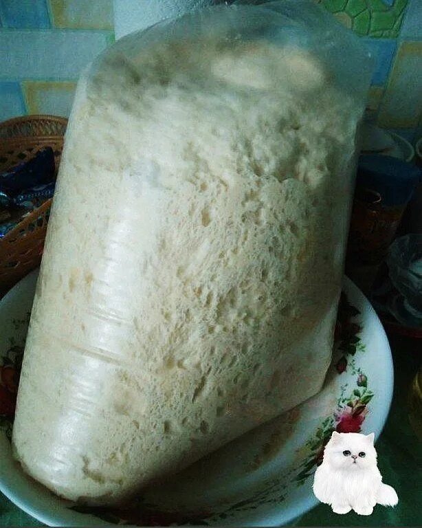 Тесто на ночь в холодильник рецепт. Тесто дрожжевое в пакете. тесто дрожжевое в холодильнике в пакете. тесто в пакете в холодильнике. тесто дрожжевое вспакете.