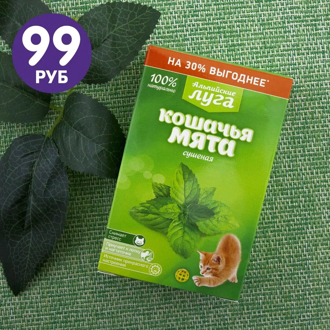 кошачья мята сколько. кошачья мята сколько. мятные капли для кошек. кошачья мята сколько. кошачья мята сколько.