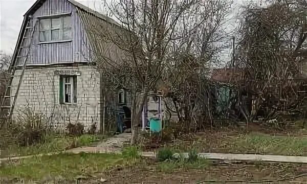Чернышова гора в семилуках дачи. Дача семилуки воронежская область. Снт ведуга снт ведуга. Березки. Березки семилуки.