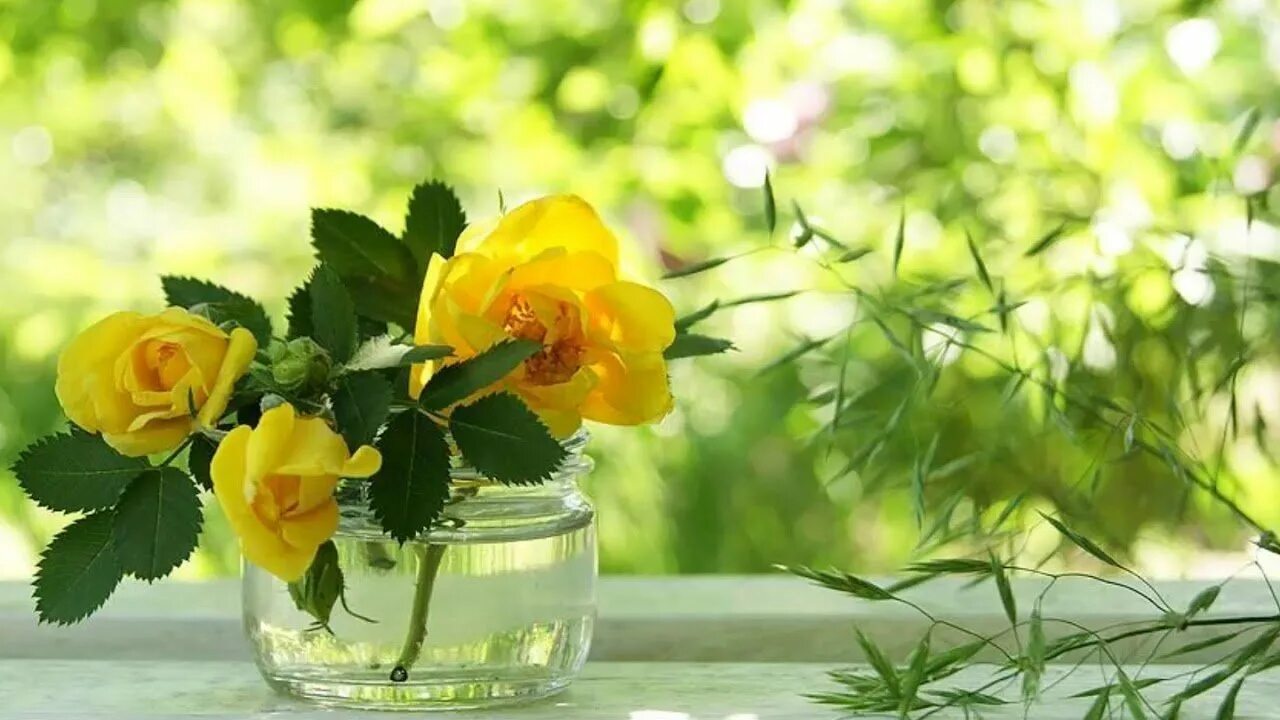 Доброе утро цветы солнце. Солнечный цветок. Цветы в лучах солнца. Доброе утро с желтыерозами. Доброе утро желтые розы.