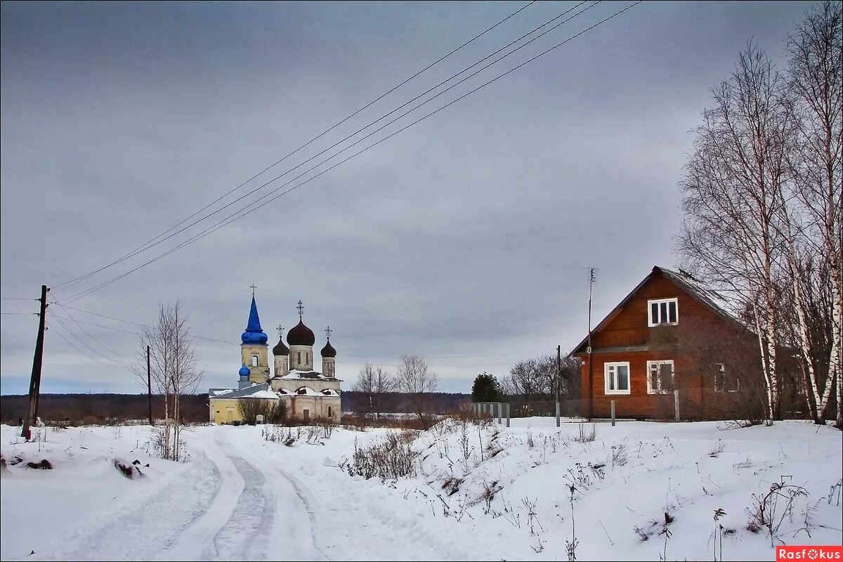 прогноз погоды в иванищи. прогноз погоды в иванищи. прогноз погоды в иванищи. сосна иванищи старицкий район. иванищи владимирская область.