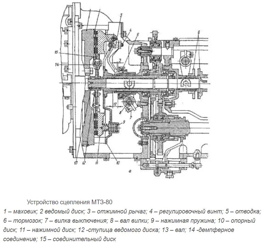 Работа сцепления трактора. Схема сцепления МТЗ 80. Муфта сцепления МТЗ 80 устройство. Схема сцепления трактора МТЗ 80. Сцепление трактора МТЗ 80.