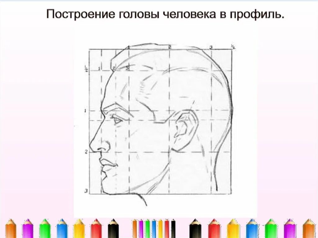 Портрет человека в профиль 6 класс изо. Изображение головы человека. Изображение головы человека в пространстве. Построение головы человека в профиль.