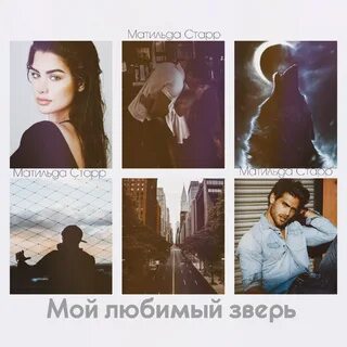 Мой любимый зверь