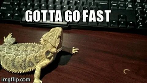 Can go fast