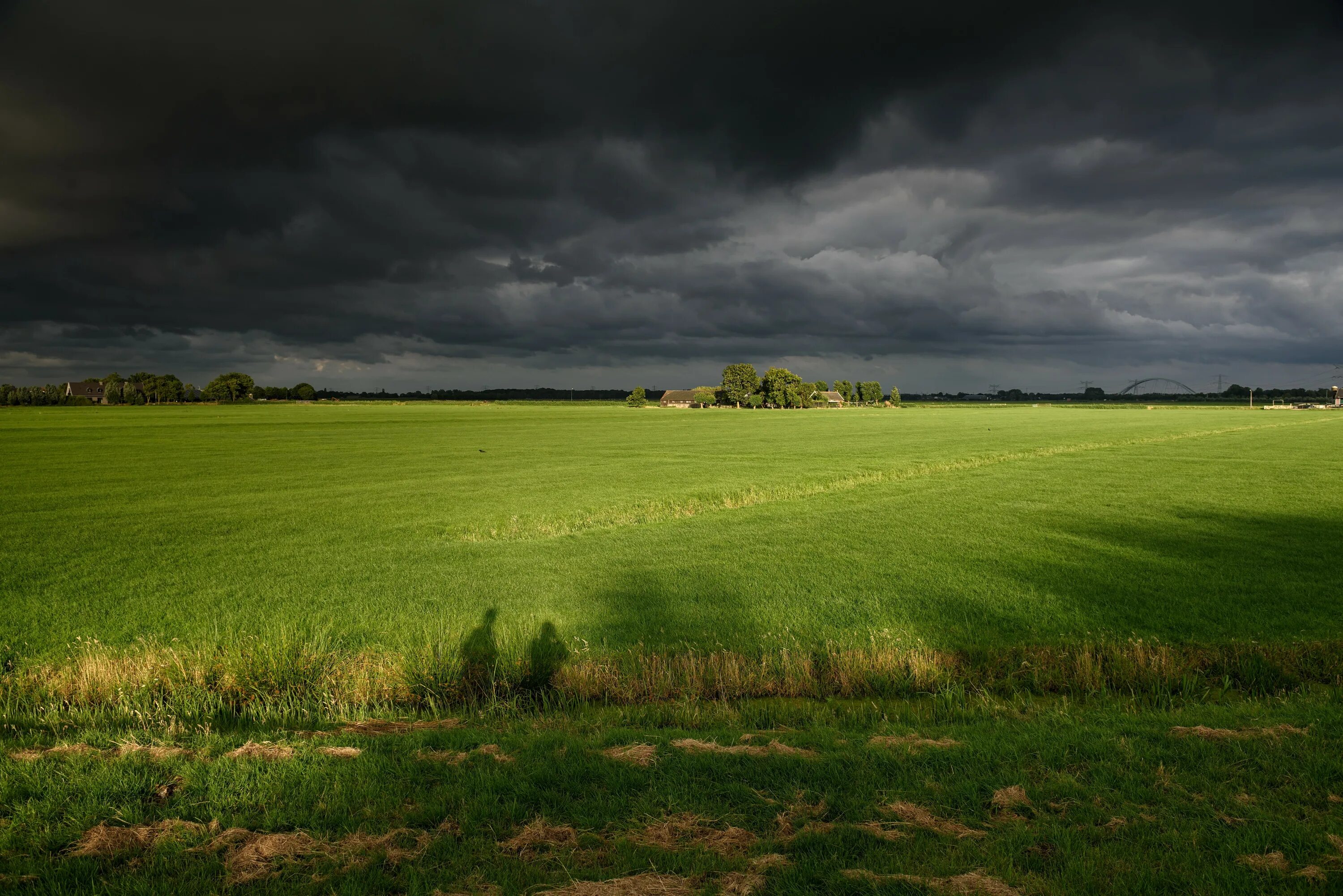 Поле перед грозой. Природа поле. Пасмурное поле. В поле. Main fields