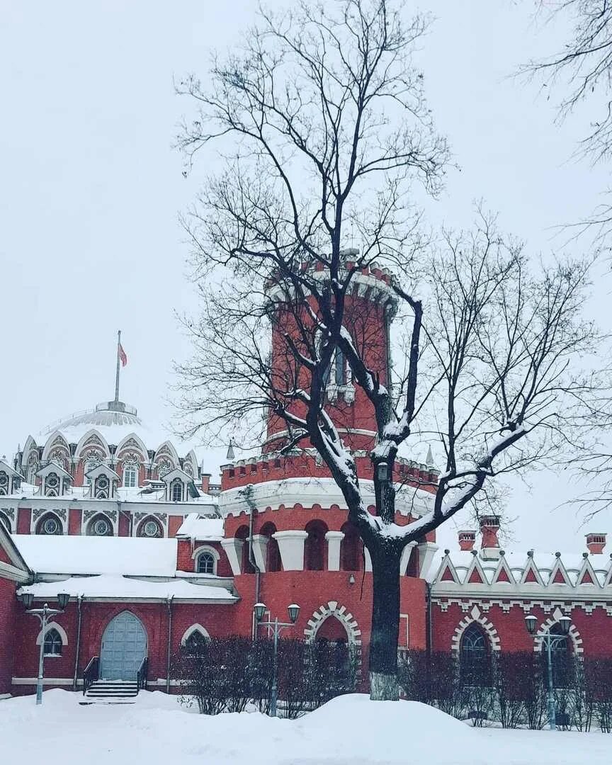 Петровский парк. Московский Петровский парк. Район Петровский парк Москва. Петровский парк сайт парка