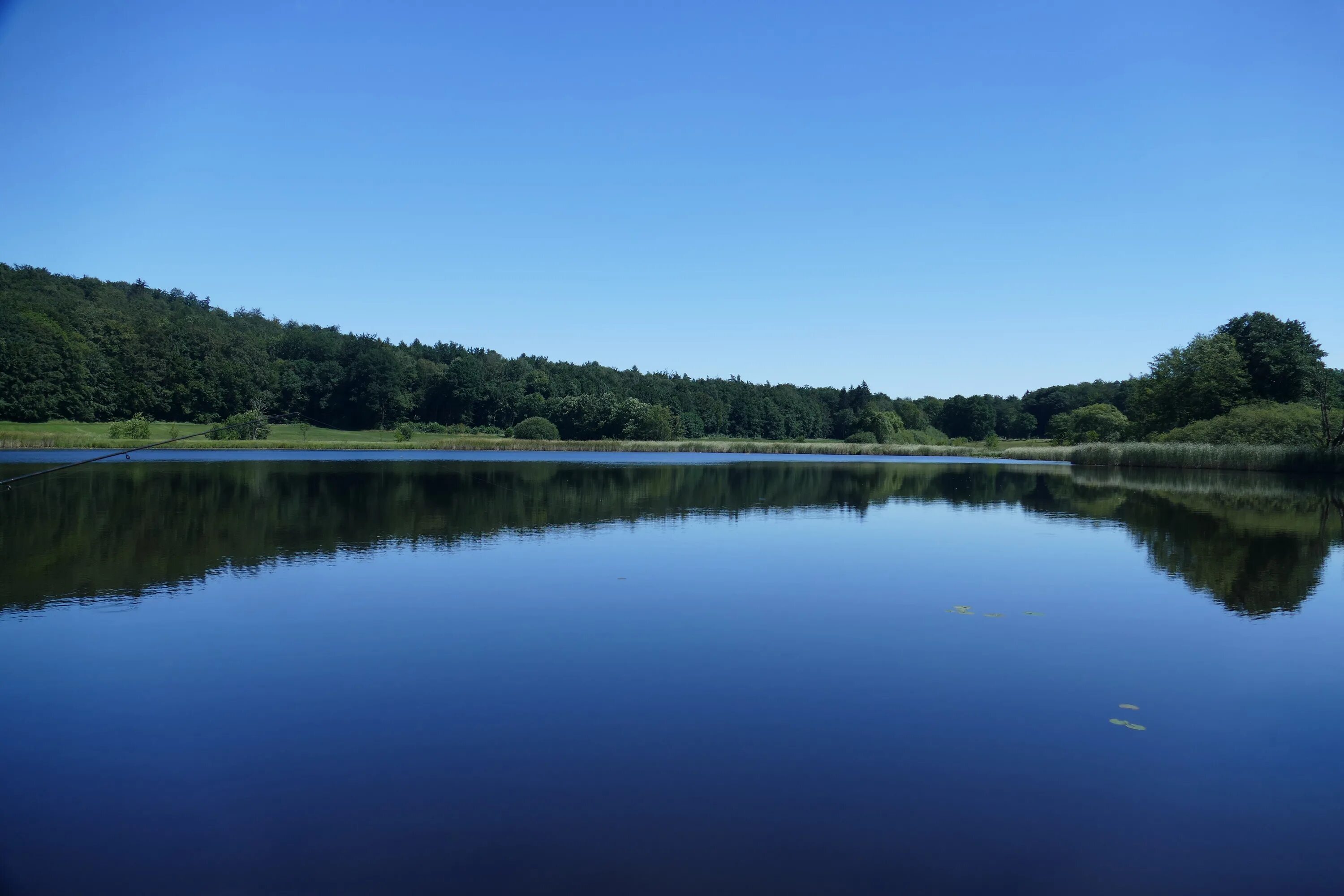 Вода в пруду фото. Озеро, водоем, небо. Пруд в ландшафтном дизайне. Черепашенці синє озеро.