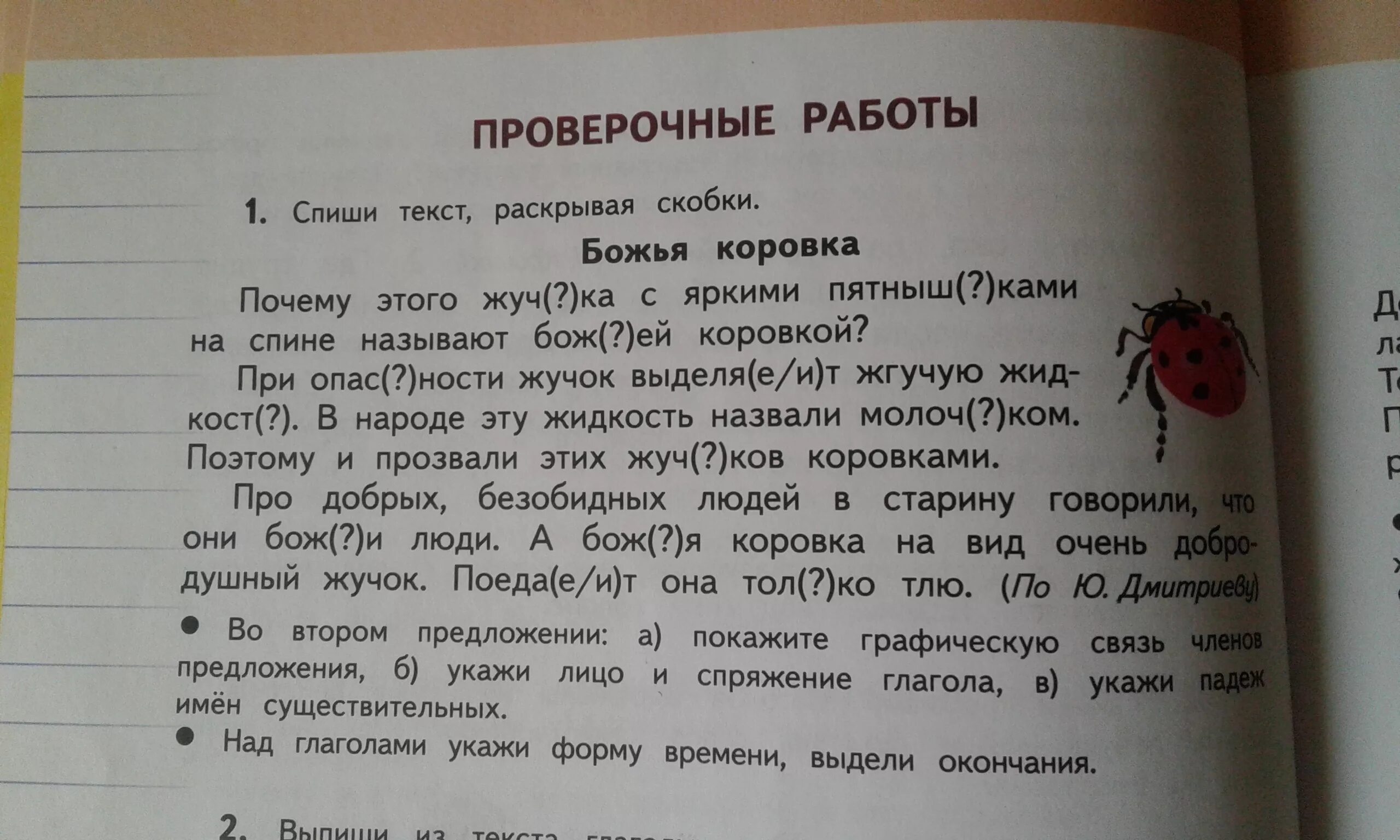 Определи границы предложений спиши текст. Комплексная работа для 3 класса про Божью коровку. Контрольная работа для 2 класса Божья коровка. Контрольная работа Божья коровка 2 класс ответы. Комплексная работа 2 класс Божья коровка с ответами.