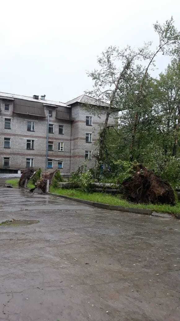 Теплоозерск еао. Теплоозерск Еврейская автономная область. П Теплоозерск Еврейская автономная. Дачная улица Теплоозерск. Теплоозерск происшествия.