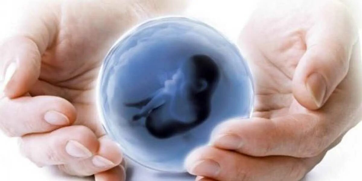 Эко от донора. Эко экстракорпоральное оплодотворение. Современные репродуктивные технологии. Вспомогательные репродуктивные технологии. Эко и суррогатное материнство.
