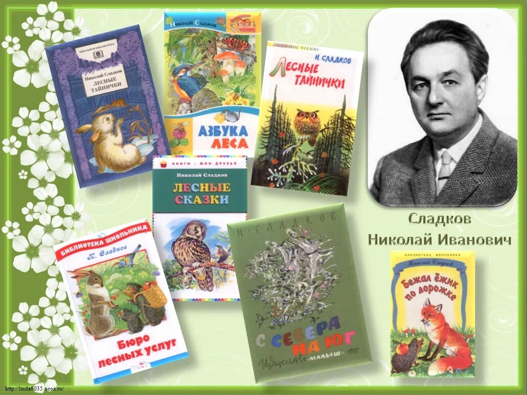 День детской книги детские писатели. Сладков н писатель. Портрет писателя Сладкова Николая Ивановича.