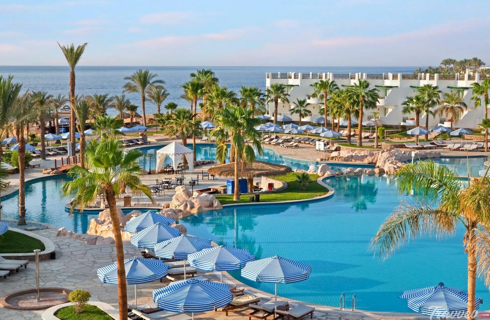 Waterfalls шарм. Сафир вотерфолс резорт шарм-эль-шейх. safir sharm waterfalls 5* шарм-эль-шейх.