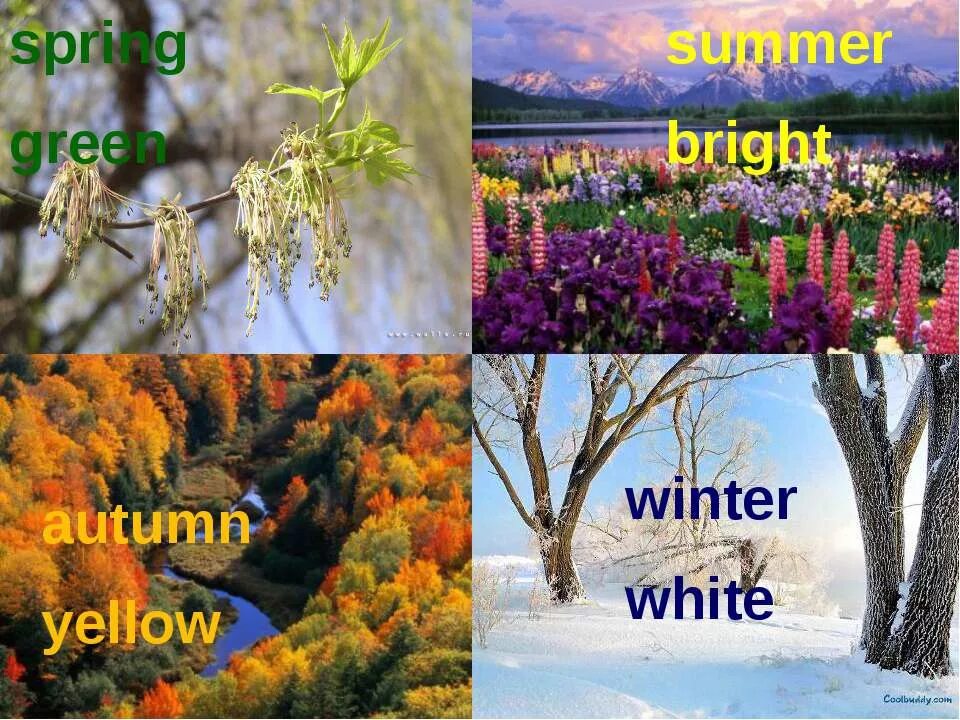 Spring is than winter. Презентация времена года. Проект на тему my favourite Season. Мре любимо время года лето на английском. Моё любимое время года на английском 4.