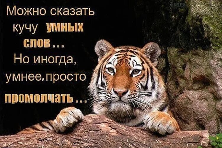 Статус про подлость. Статусы про выводы. молча делайте выводы. молча делай выводы. делай выводы и отдаляйся.