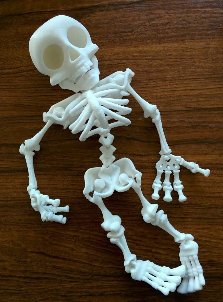 Скелет из пластилина. Скелет игрушка. Скелет на 3д принтере. ПЛАСТИЛИНОВЫЙ скелет. Модель скелета для 3д принтера.