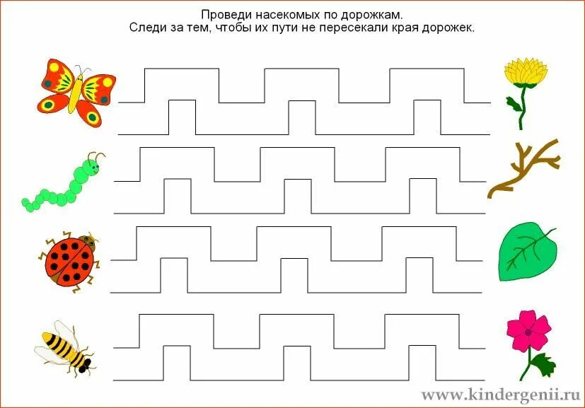 Графомоторные дорожки насекомые. Графомоторные дорожки насекомые для дошкольников. Графомоторные дорожки для малышей 2 года. Дорожки для развития моторика для малышей.