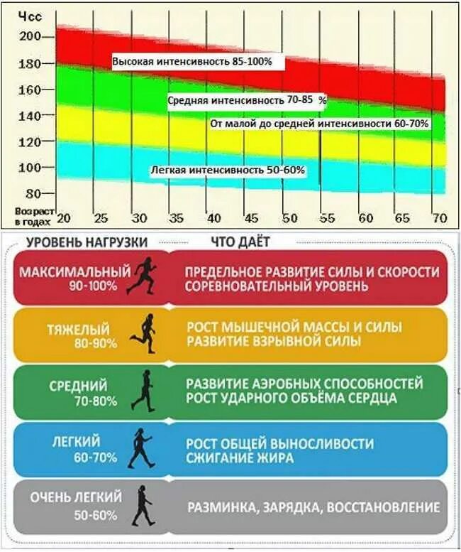 Какая физическая способность преобладает в беге. Норма частоты сердечных сокращений при беге. нормальная частота пульса при физических нагрузках. нормальный пульс во время тренировки. частота сердечных сокращений после нагрузки норма.