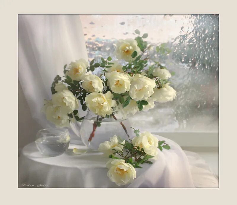 Натюрморт с белой розой. Букет белых роз в вазе. Белый букет. Очаровательная нежность