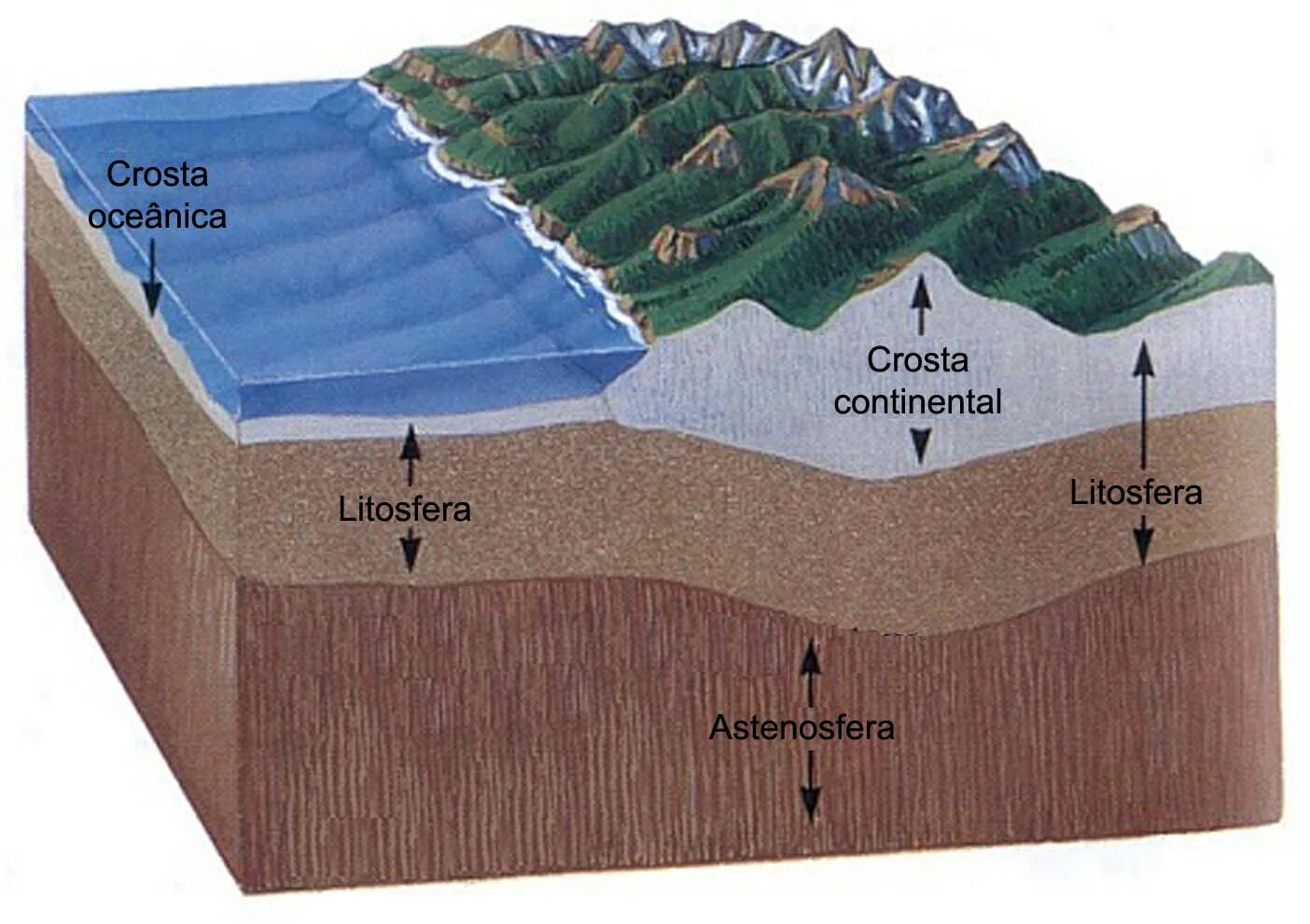 Литосфера. Строение литосферы. Литосфера земли. Литосфера состоит из отдельных блоков
