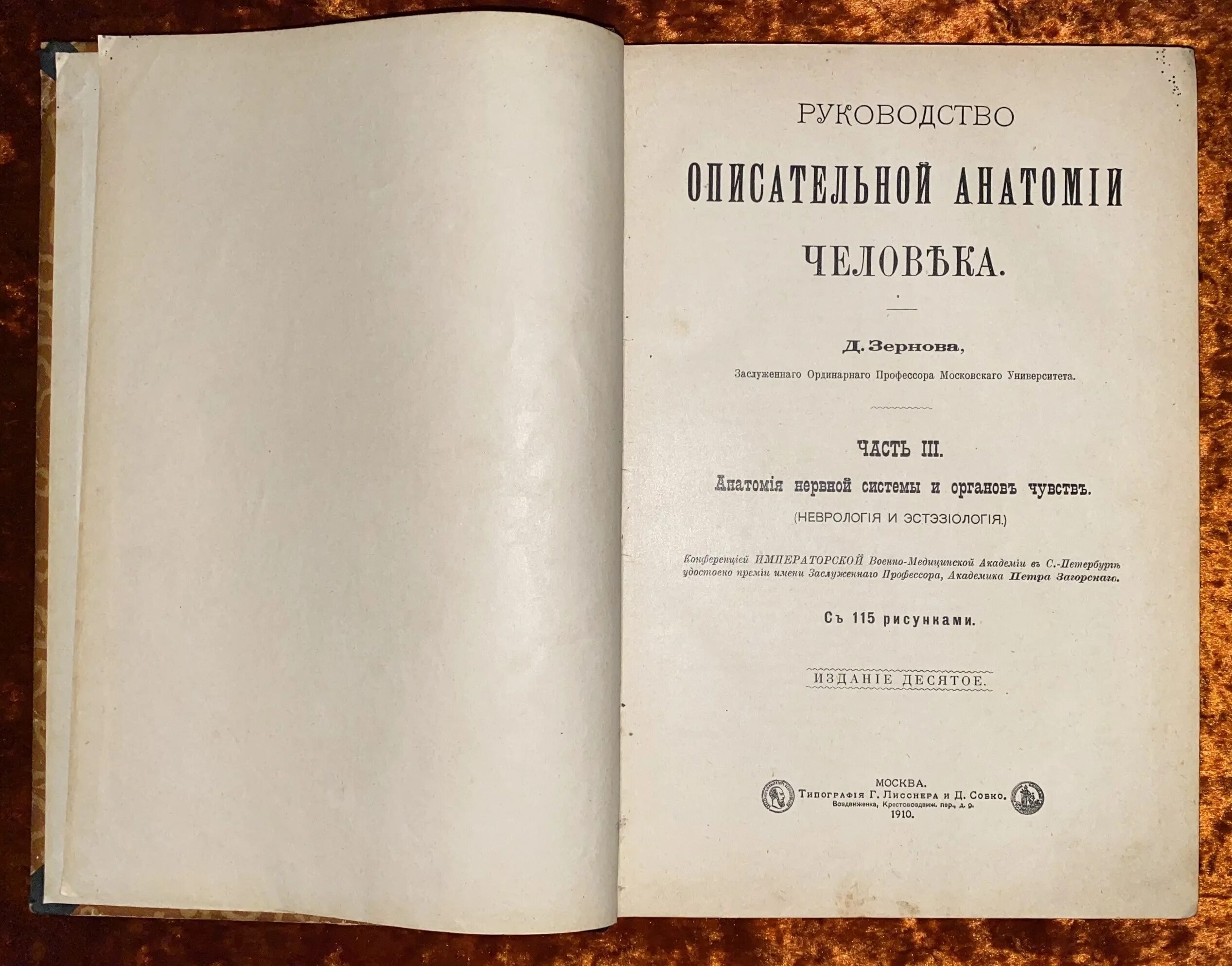 Д зернов. Зернов анатомия. зернов вклад в анатомию. описательная анатомия зернов 1 том. достижения в анатомии зернов.