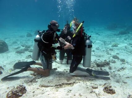Open water diver