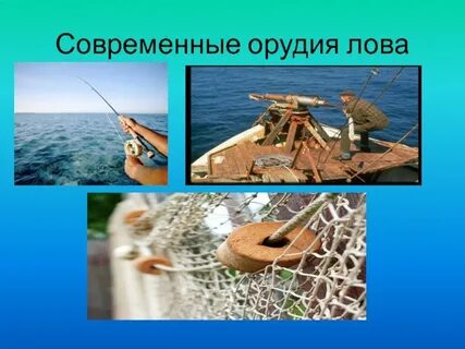 Орудия лова