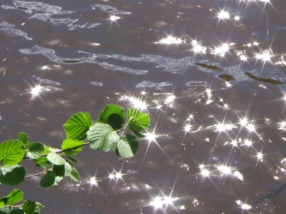 Сквозь дождь лучилось солнце. Солнечные блики на воде. Солнечный зайчик. Весна лужи солнце. Сверкающие блики на воде.