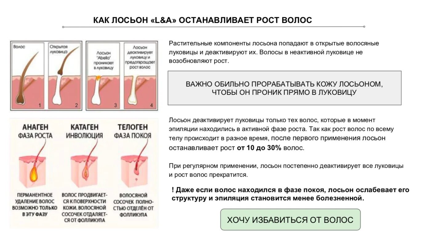 Строение волоса и фазы роста. Цикл роста волос. Цикл роста волос на теле. Фазы роста волос сколько длятся. Как остановить рост в высоту