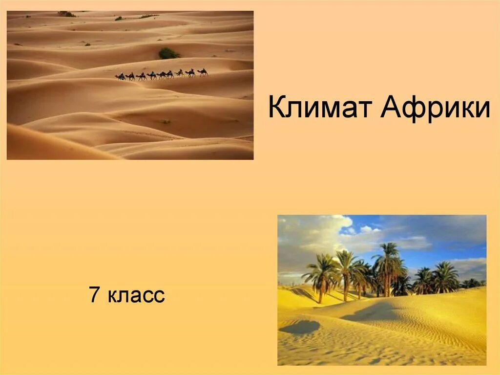 Мониторинг по географии 7 класс. Мониторинг по географии 7 класс. Тематический тестовый контроль география 8 класс. Тест по географии 7 класс. Проверочная работа по географии 7 класс.