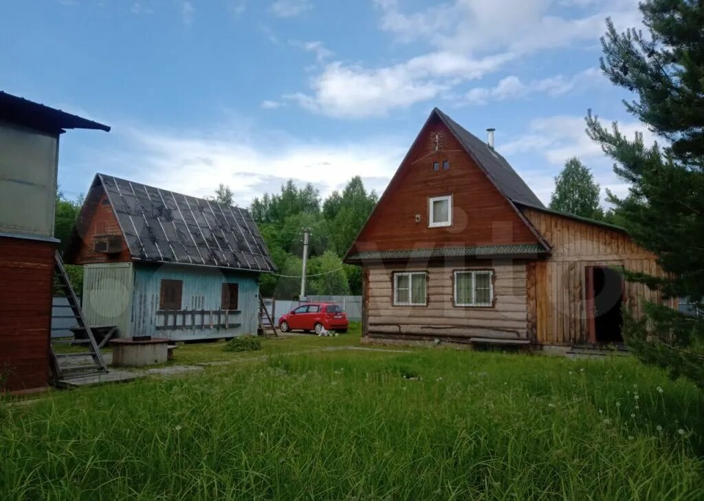 Снт ивушка большие семенычи. Снт ивушка 2. Снт ивушка 2. Снт ивушка 2. Деревня никулки талдомский.