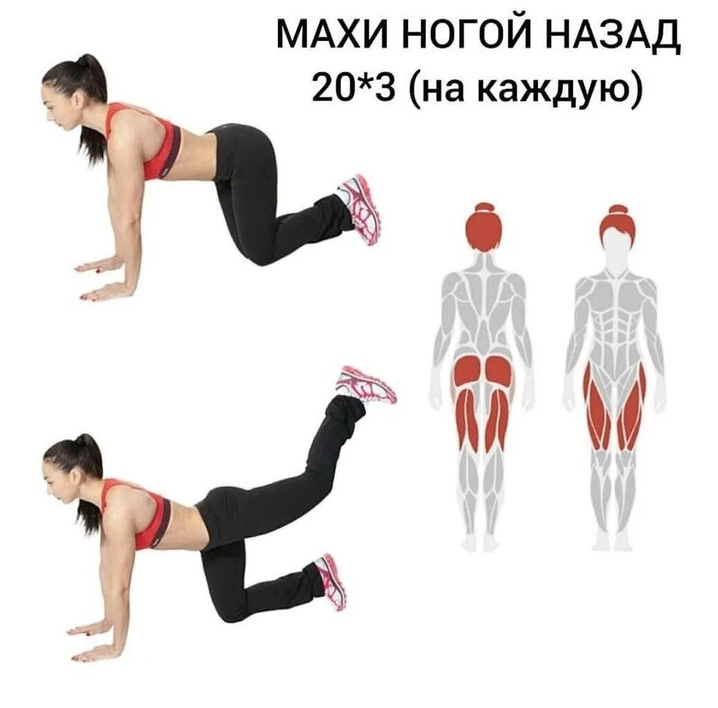 Эффективные упражнения для ног. Тренировка на ягодицы. Занятия для попы. Упражнения для мышц ягодиц. Упражнения для ягодиц и бедер.