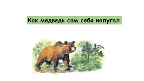Она как медведь