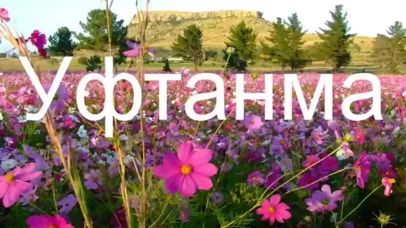 Уфтанма. Уфтанма текст. Уфтанма Элвин грей текст. Уфтанма надпись.