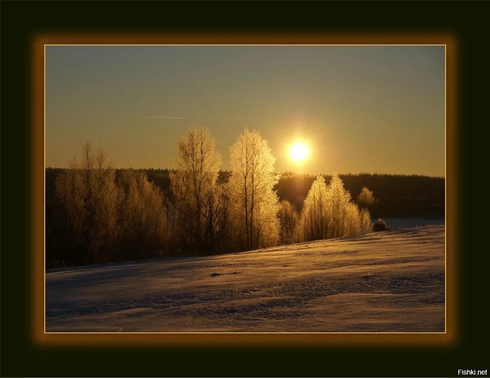 Природа вечер. Зимний рассвет. Зимний Восход солнца. Утреннее солнце зимой. Обычный день и будет вечер