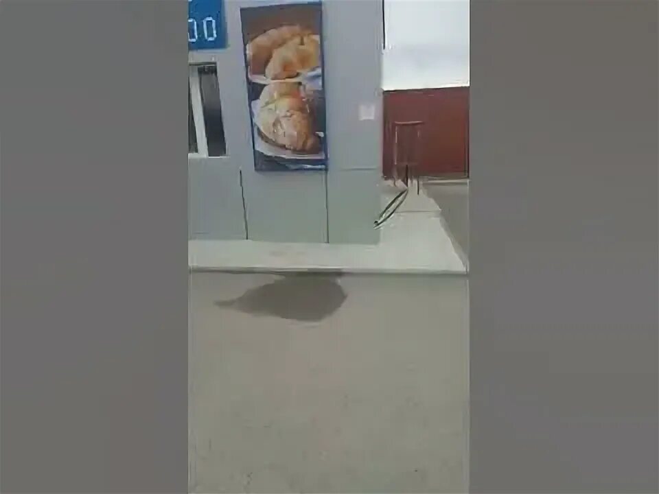 Вылетело кольцо. Стопорное колесо вылетело.