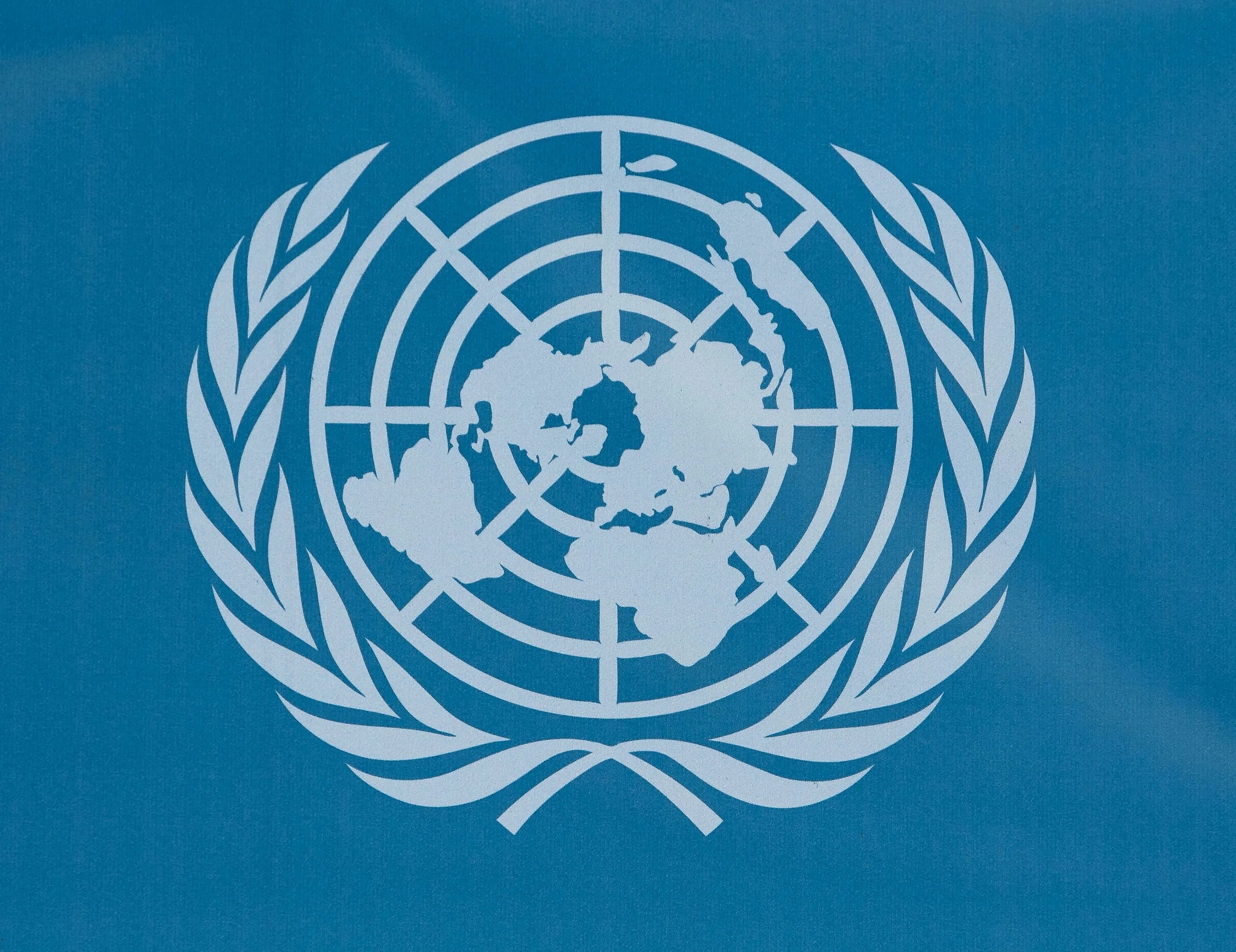 Организация Объединенных наций (ООН). Международные организации ООН. Oont. Организация Объединенных наций эмблема. Конвенция о гармонизированной системе