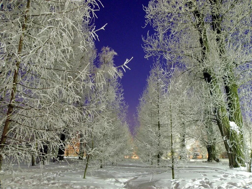 новомосковск зимой. новомосковск город зимой. природа новомосковска тульской области. тульская область город новомосковск ротонда. ротонда новомосковск тульской области.