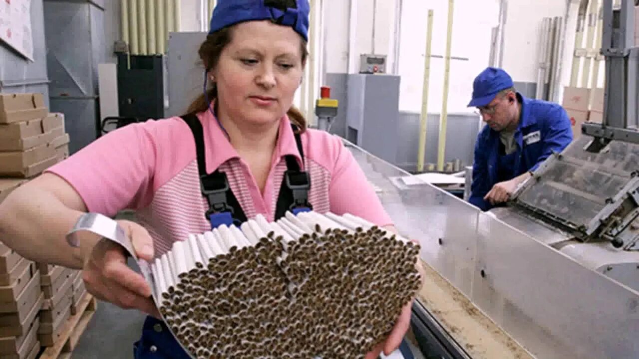 Сборочный завод. Производственный конвейер. Работница фабрики. Табачная фабрика дукат в москве. Профессии текстильного производства.