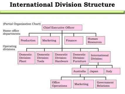 Company division