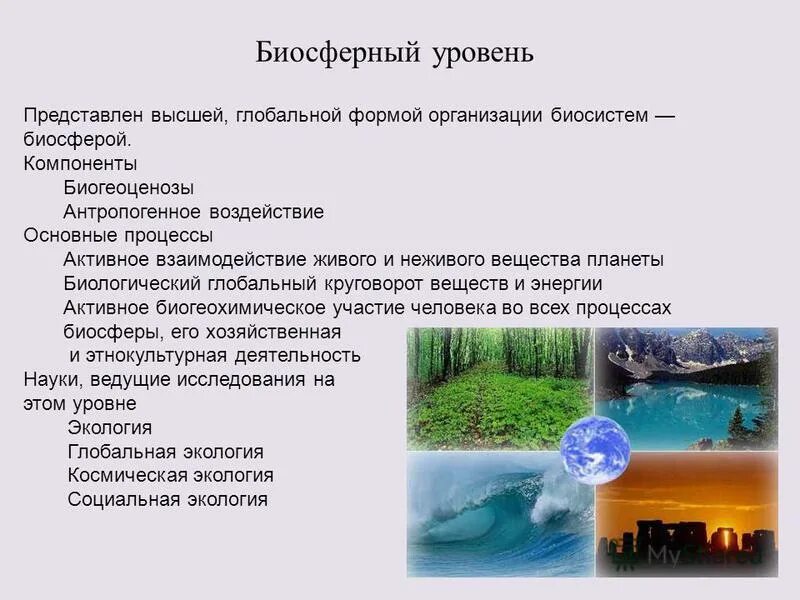 Биосферный уровень организации компоненты. Компоненты биосферного уровня организации жизни. Значение биосферного уровня. Значение биосферного уровня. Биосферный уровень жизни.