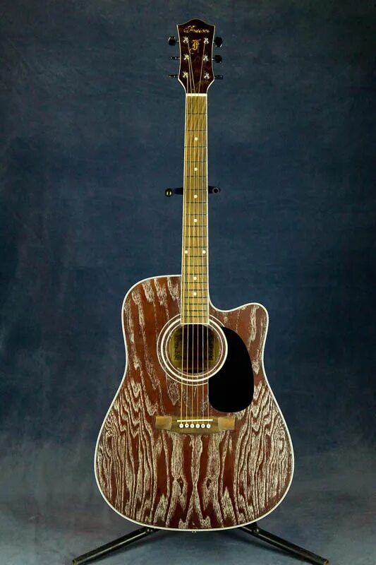 Fusion meditative guitar. Fusion 3 guitar. Birch гитара. Гитара будущего. Fusion meditative guitar.
