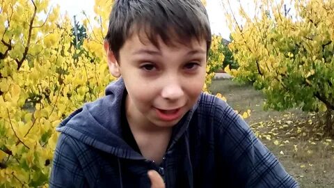 Включи она села