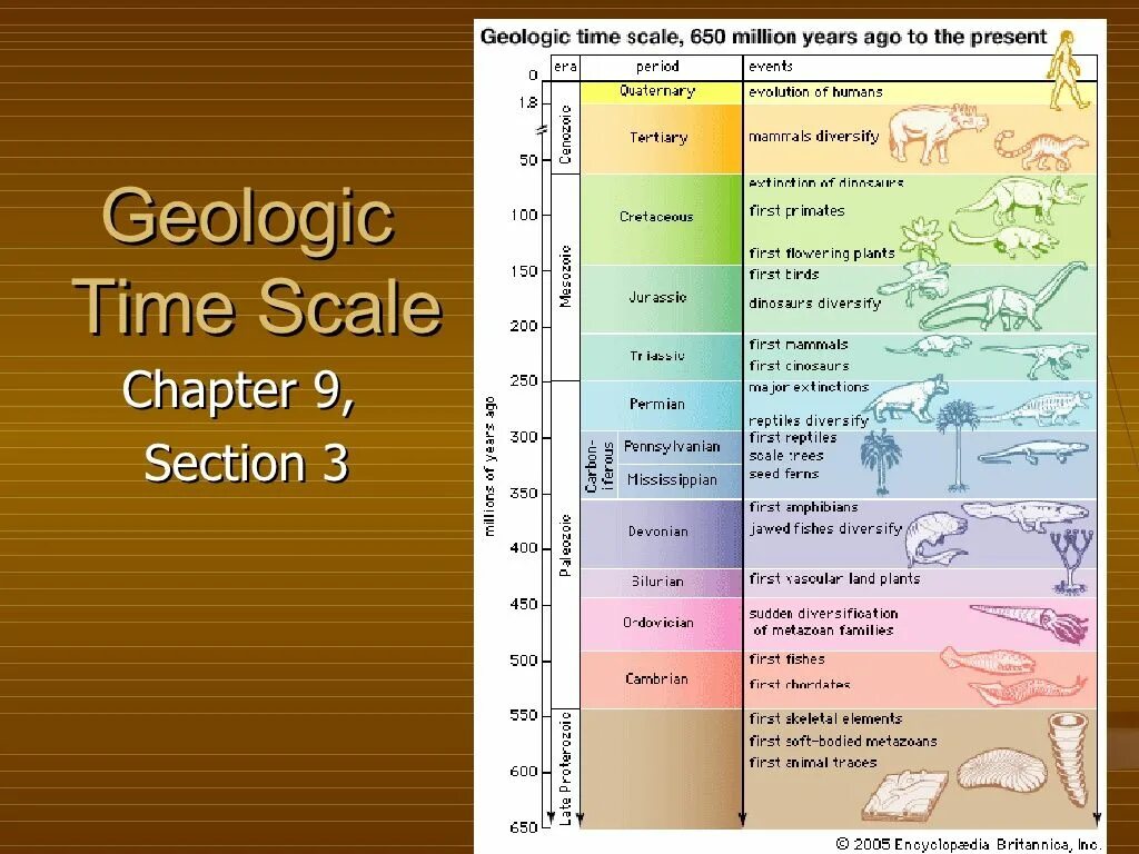 Time scaling. Геохронологическая шкала докембрия. шкала геологического времени. geologic time scale. геохронологическая таблица.