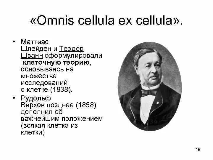 Маттиас шлейден 1838. Маттиас якоб шлейден клеточная теория. Теодор шванн и маттиас шлейде. Шлейден и шванн сформулировали клеточную теорию. Шванн шлейден вирхов.