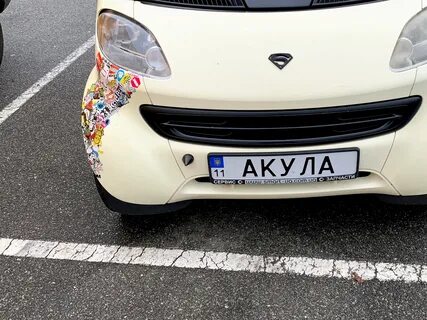 Акула на номерах