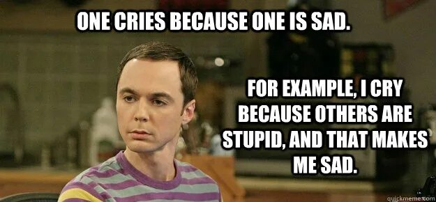 Making me sad. Others are stupid and it makes me sad. шелдон в платье. because i am stupid. because i am stupid текст.