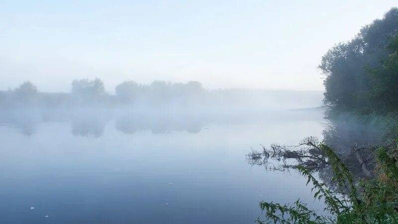 Дым в озерах. Озеро Рахмановская Старица туман. Озеро Белужье. Озеро Тобол Кушлы. Сатыгинский туман озеро ХМАО.